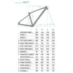 15318228978-react-1-2.jpg